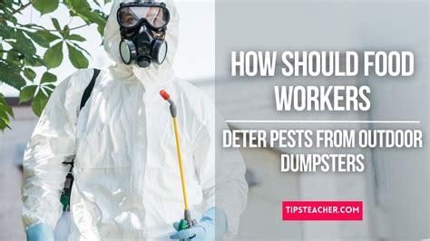 how should food workers deter pests