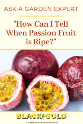 How to Tell If Passion Fruit Is Ripe: A Comprehensive Guide with Insightful Views