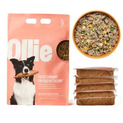 Ollie Dog Food Where to Buy: A Detailed Exploration of Options and Considerations