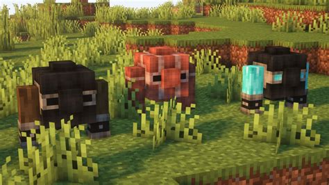 What Can You Do With Honey In Minecraft, And How Does It Enhance Your Gaming Experience?